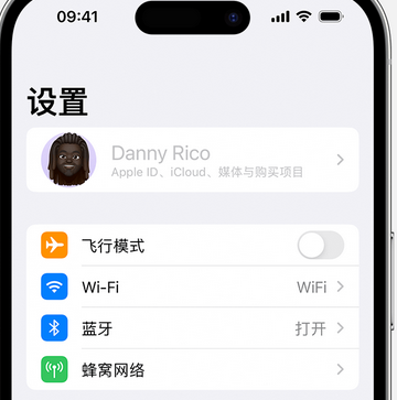 海东appleID维修服务iPhone设置中Apple ID显示为灰色无法使用 