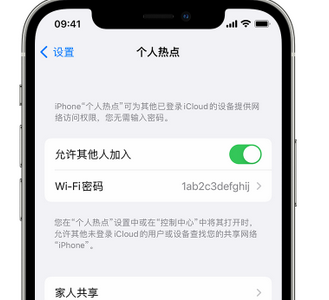 海东apple服务站点分享iPhone上个人热点丢失了怎么办 