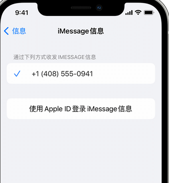 海东apple维修iPhone上无法正常发送iMessage信息 