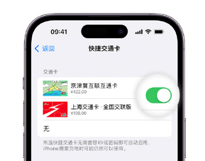 海东apple维修点分享iPhone上更换Apple Pay快捷交通卡手绘卡面 