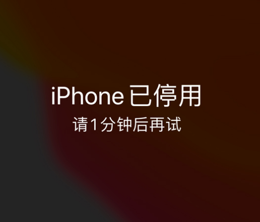 海东苹果手机维修分享:iPhone 显示“不可用”或“已停用”怎么办？还能保留数据吗？ 