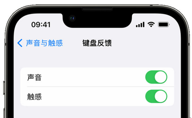 海东苹果手机维修分享iPhone 14触感键盘使用方法 