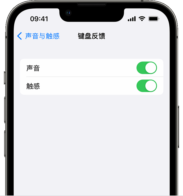 海东苹果14维修店分享如何在 iPhone 14 机型中使用触感键盘 