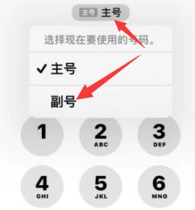 海东苹果14维修店分享iPhone 14 Pro Max使用副卡打电话的方法 