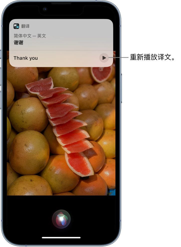 海东苹果14维修分享 iPhone 14 机型中使用 Siri：了解 Siri 能帮你做什么 