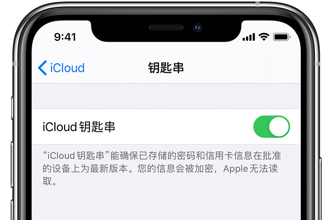 海东苹果手机维修分享在 iPhone 上开启 iCloud 钥匙串之后会储存哪些信息 